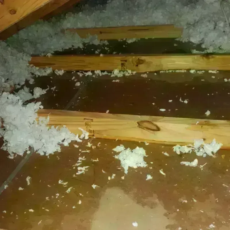 Attic Water Damage in West Union, IA