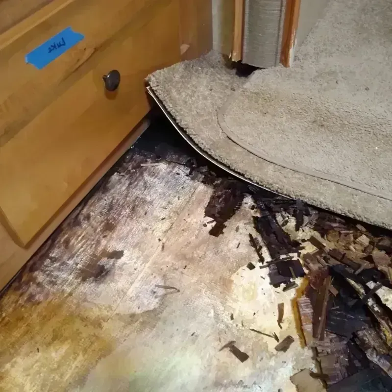 Best Wood Floor Water Damage Service in West Union, IA